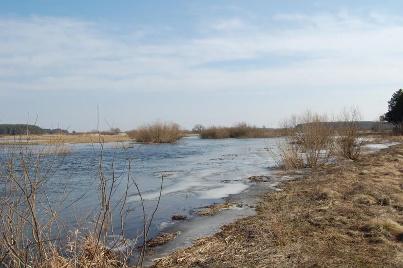 Куликовичі з panoramio.com - Kulykovychi