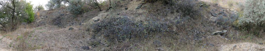 Октябрське з panoramio.com - Октябрське