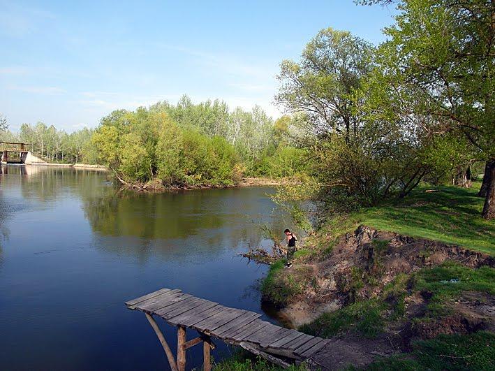 Малі Будища з panoramio.com - Mali Budyscha