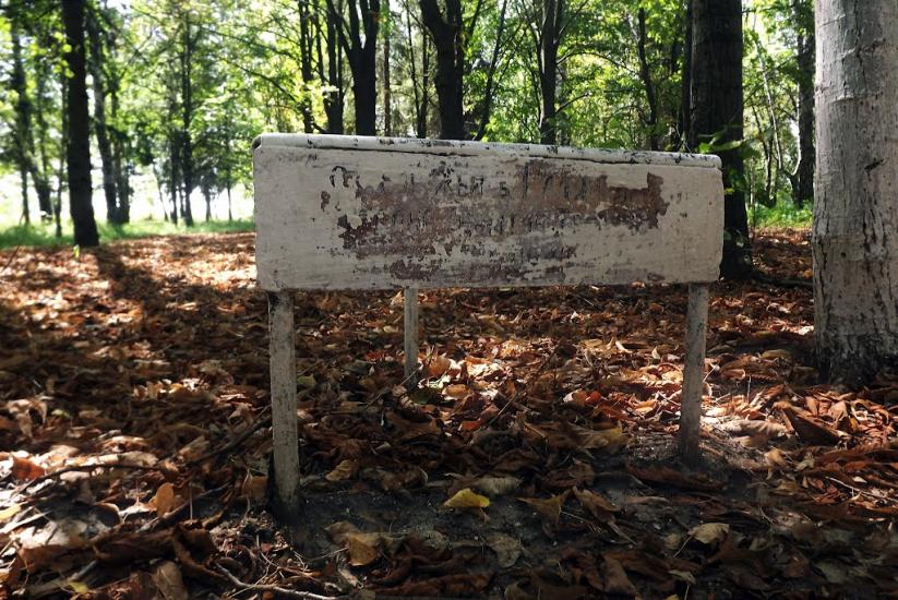 Турія з panoramio.com - Турия