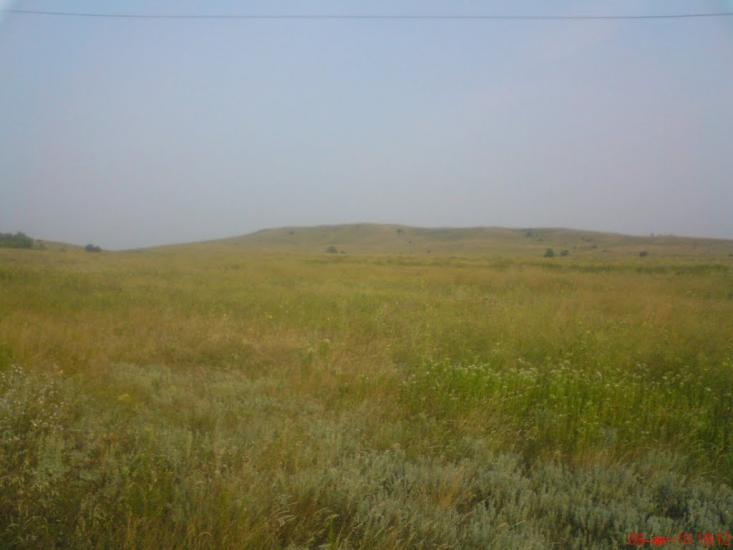 Новозванівка з panoramio.com - Новозвановка
