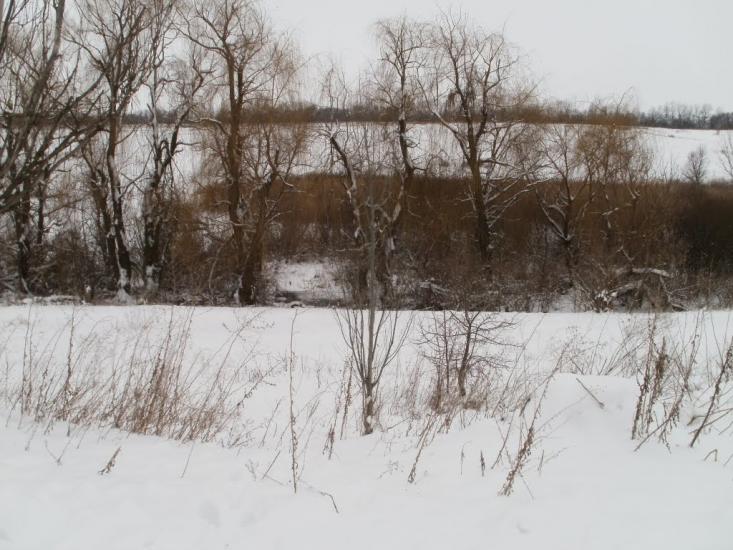 Суха Балка з panoramio.com - Суха Балка