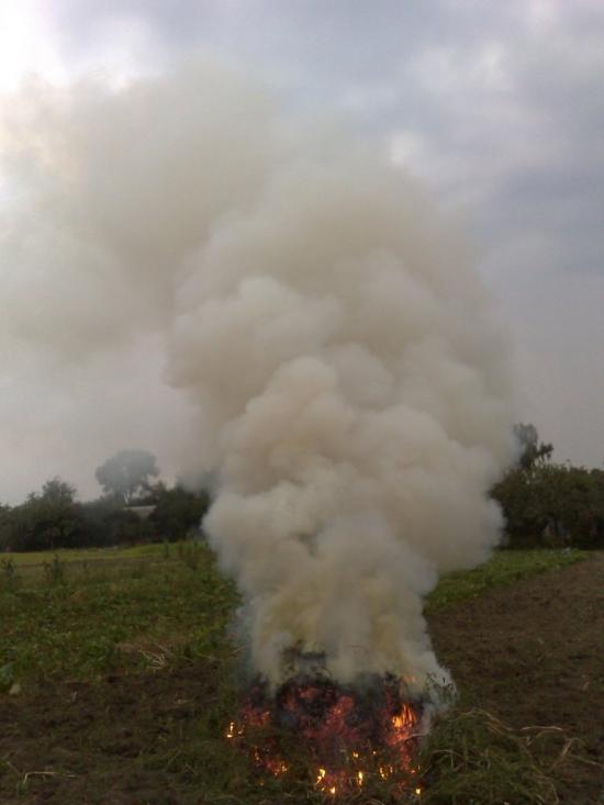 Теліжинці з panoramio.com - Тележинцы