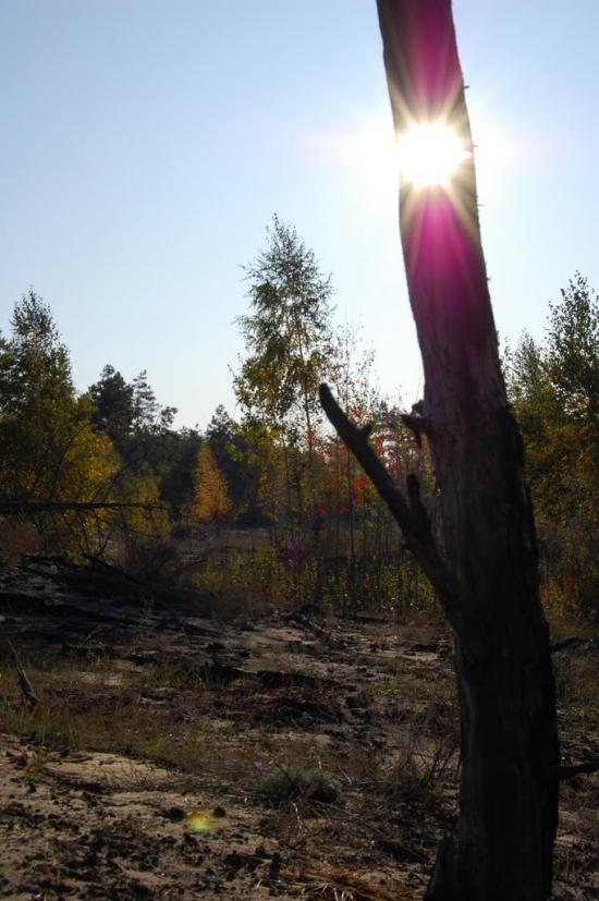 Леськи з panoramio.com - Леськи