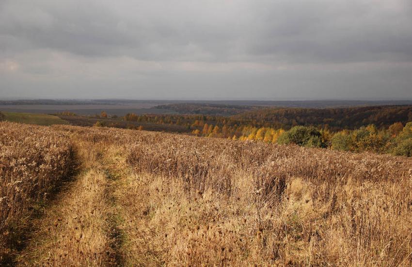 Миколаївка з panoramio.com - Миколаївка