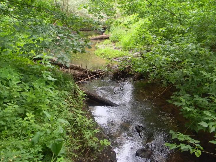 Хрипівка з panoramio.com - Хрипівка