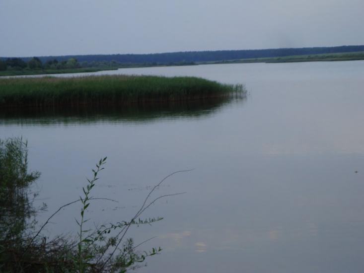 Бейзимівка з panoramio.com - Бейзимівка