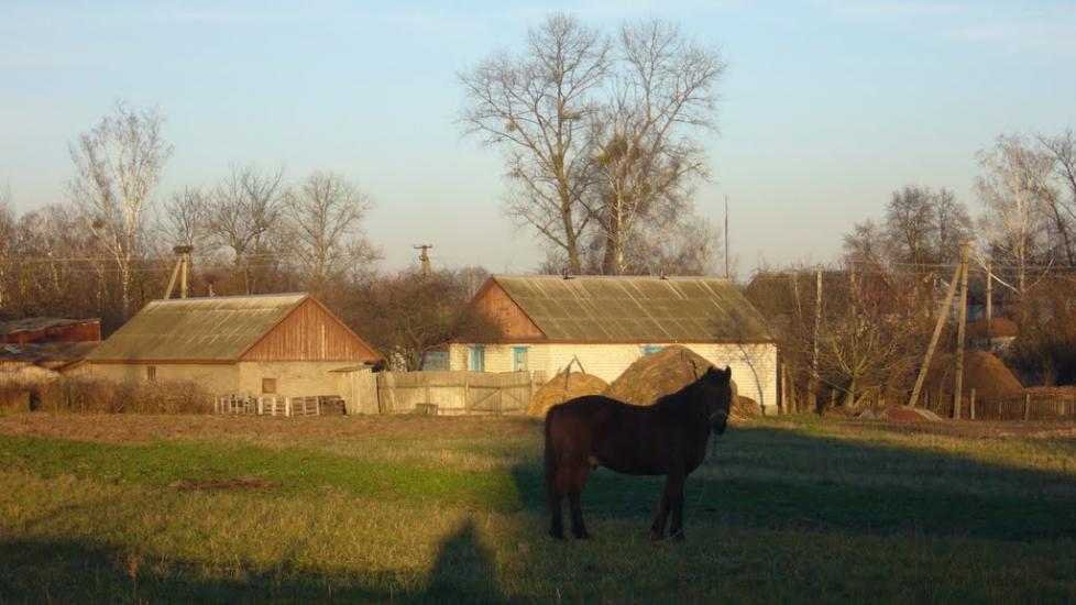 Несолонь з panoramio.com - Несолонь