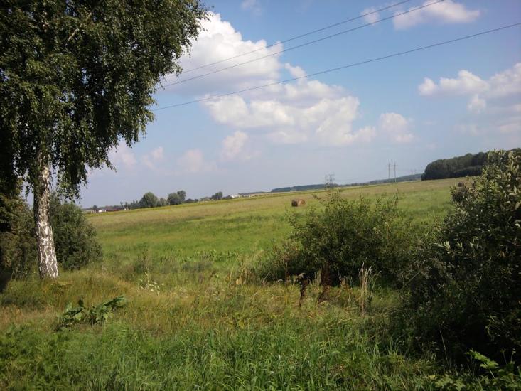 Терехівка з panoramio.com - Тереховка