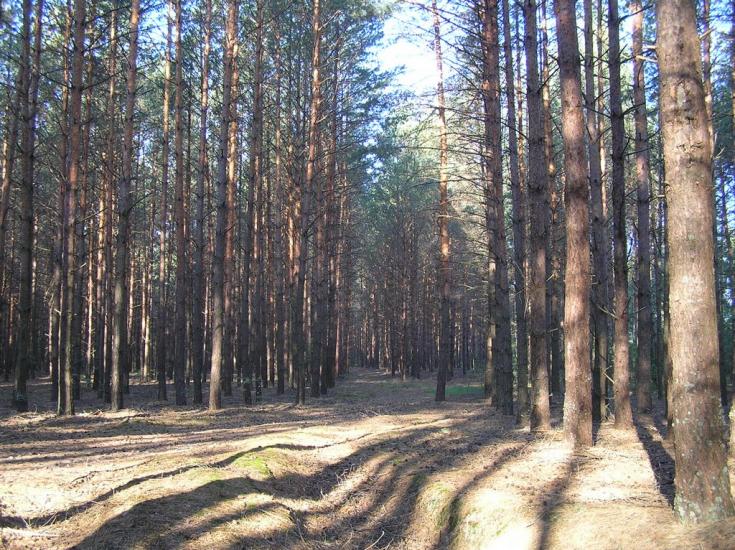 Грем'яче з panoramio.com - Грем'яче