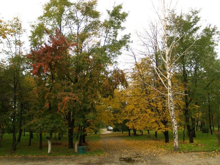 Кам'янка-Дніпровська з panoramio.com - Каменка-Днепровская