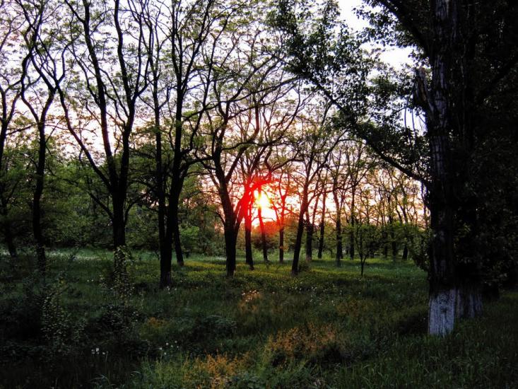 Новомайське з panoramio.com - Новомайское
