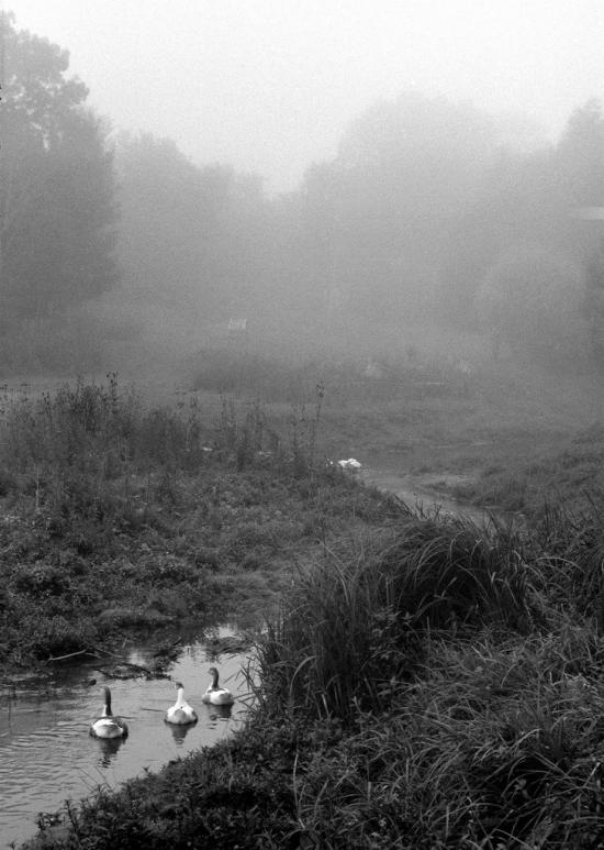 Миклашів з panoramio.com - Миклашів