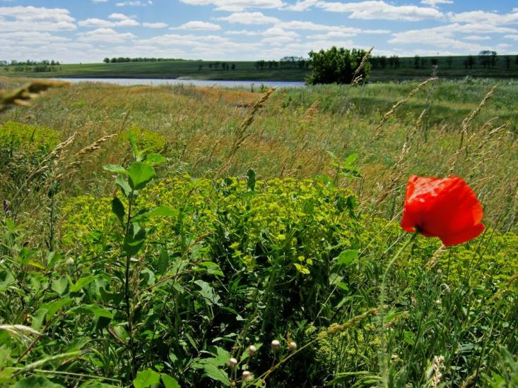 Братсько-Семенівка з panoramio.com - Братско-Семеновка