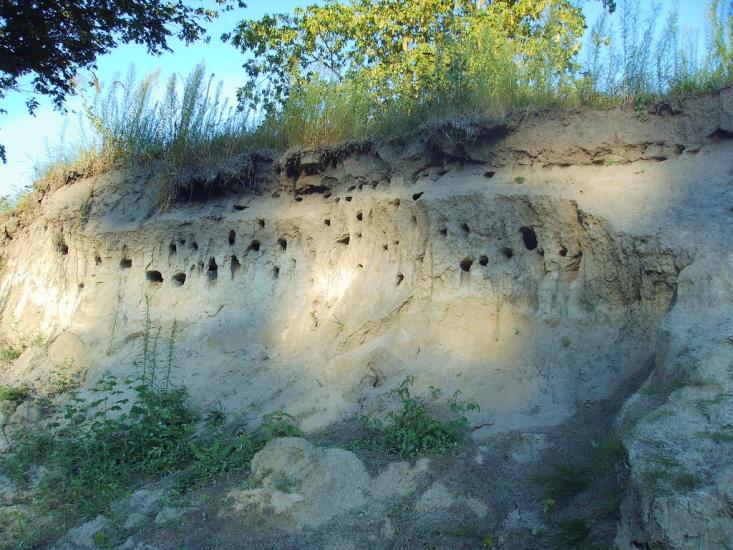 Малі Будища з panoramio.com - Малі Будища