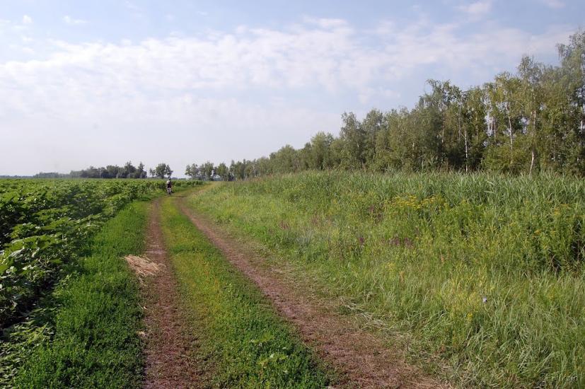 Булгаківка з panoramio.com - Bulgakivka