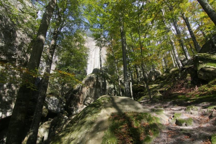 Поляниця з panoramio.com - Поляница