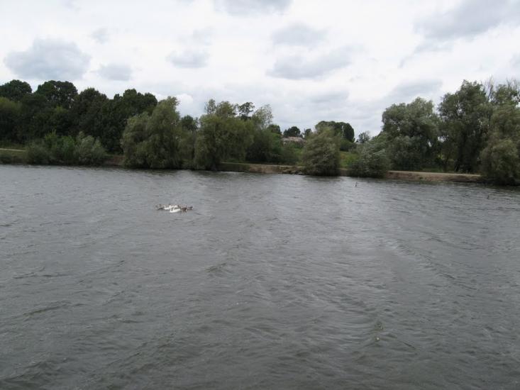 Попівці з panoramio.com - Попівці