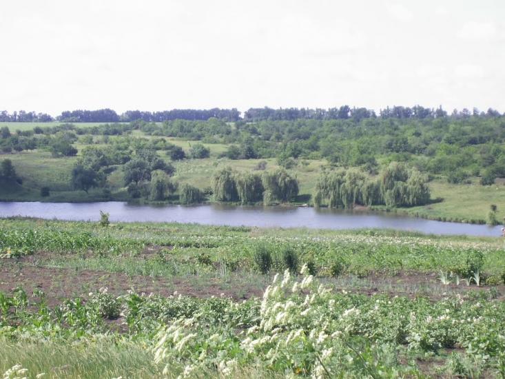 Смоліне з panoramio.com - Смоліне