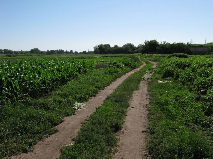 Леськи з panoramio.com - Леськи