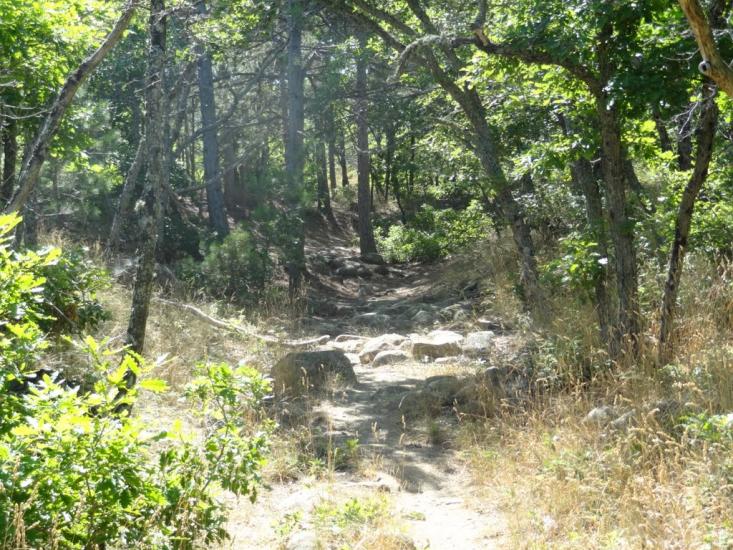 Виноградний з panoramio.com - Vynogradnyy