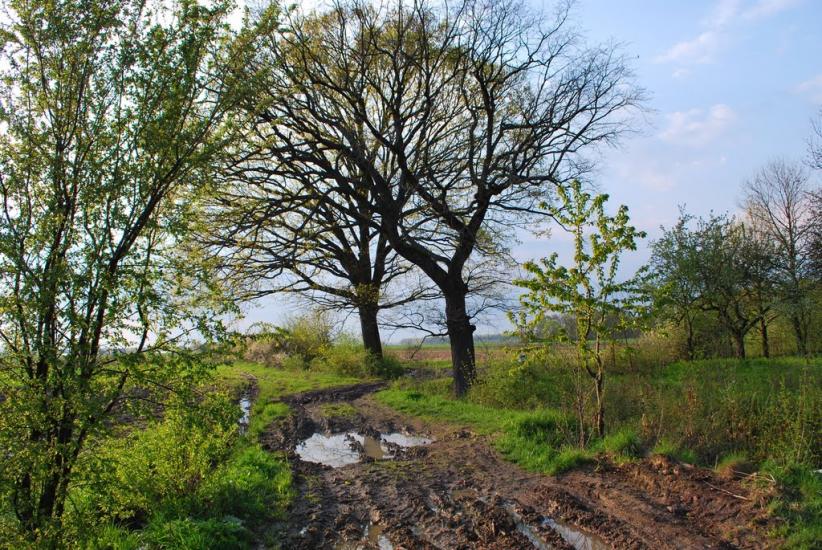 Велика Добронь з panoramio.com - Велика Добронь