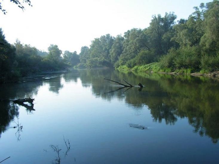 Забужжя з panoramio.com - Забужье