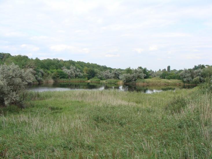 Катеринівка з panoramio.com - Катеринівка