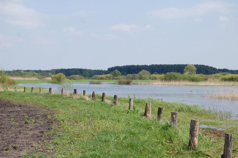 Куликовичі з panoramio.com - Kulykovychi