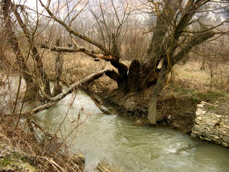 Курське з panoramio.com - Курское