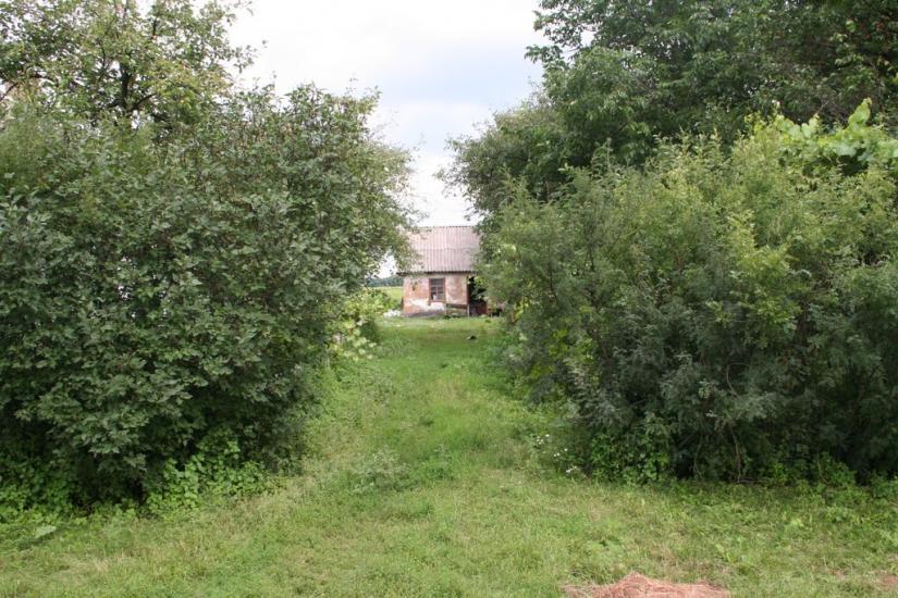 Плетений Ташлик з panoramio.com - Плетений Ташлик