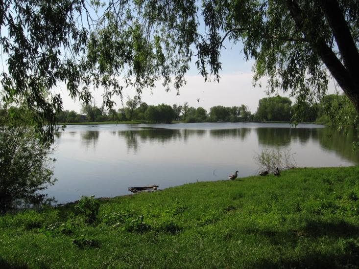 Черниш з panoramio.com - Черниш