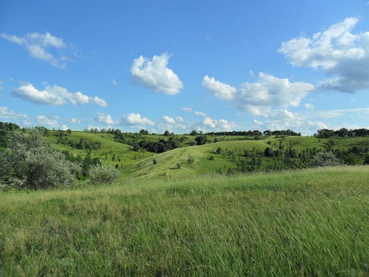 Стримівка з panoramio.com - Стримовка