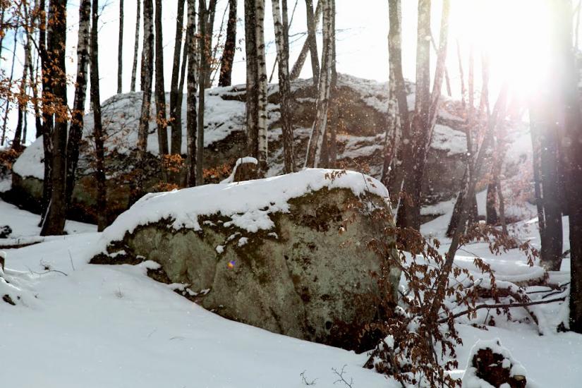 Орів з panoramio.com - Орів