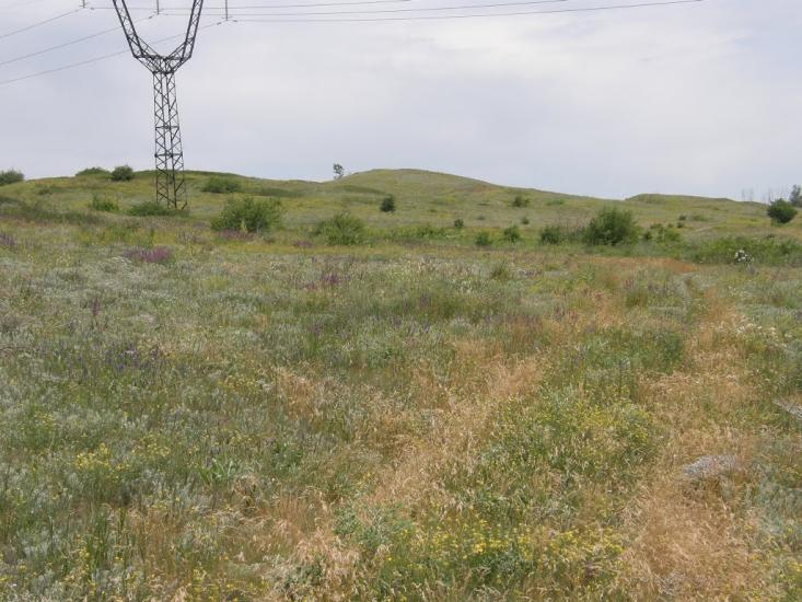 Новозванівка з panoramio.com - Новозвановка