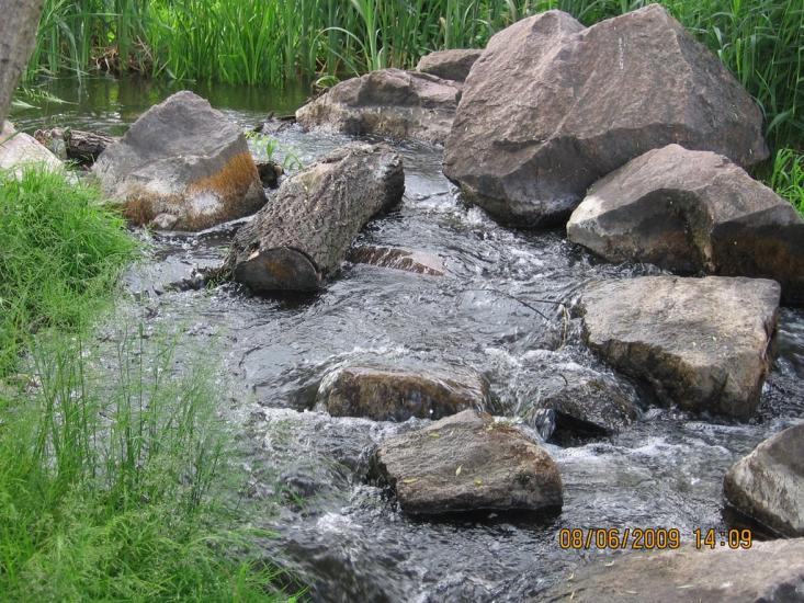 Лісне з panoramio.com - Lisne