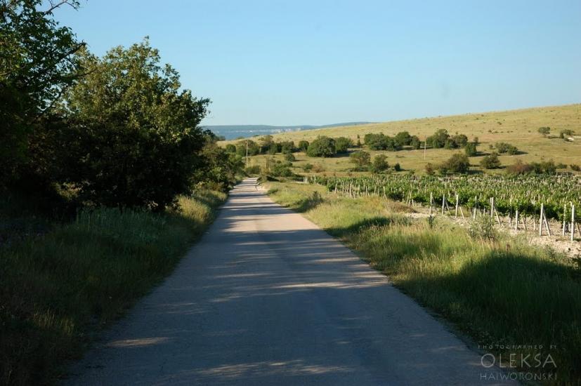 Інкерман з panoramio.com - Inkerman