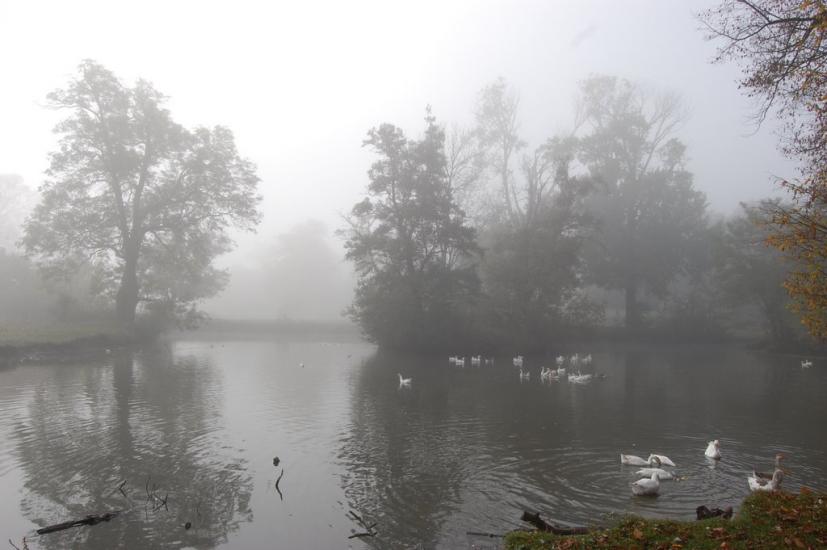 Горошівці з panoramio.com - Горошовцы