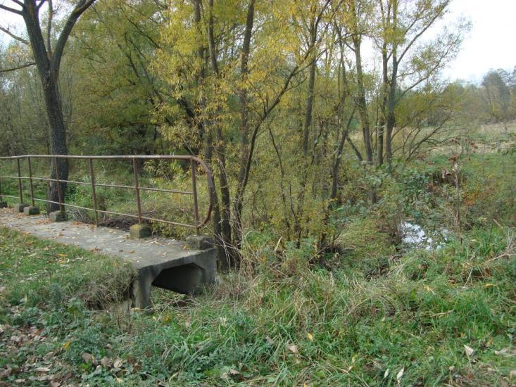 Раківчик з panoramio.com - Rakivchyk
