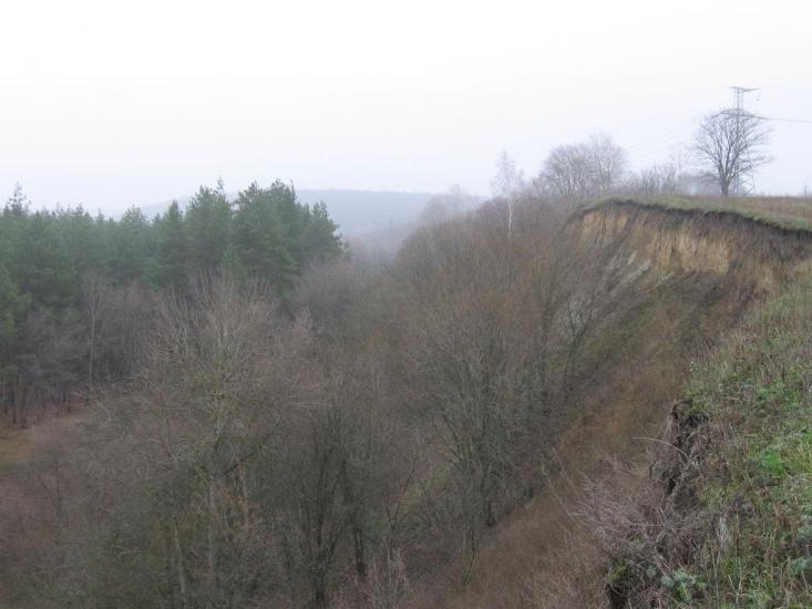 Велика Чернеччина з panoramio.com - Велика Чернеччина