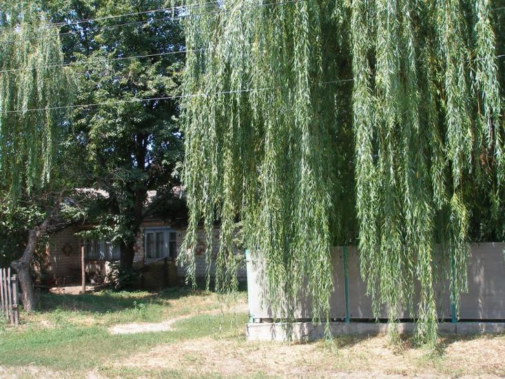 Радянське з panoramio.com - Радянское