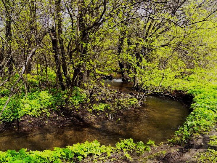 Ольховатка з panoramio.com - Olkhovatka
