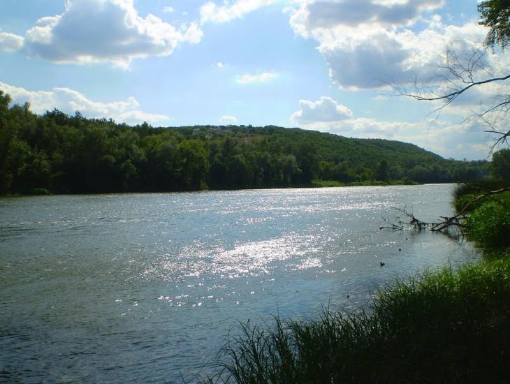 Станично-Луганське з panoramio.com (ч.2) - Станично-Луганское