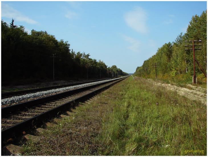 Великий Щимель з panoramio.com - Velykyy Schymel