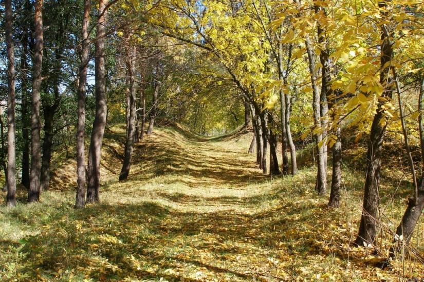 Велика Чернеччина з panoramio.com - Велика Чернеччина