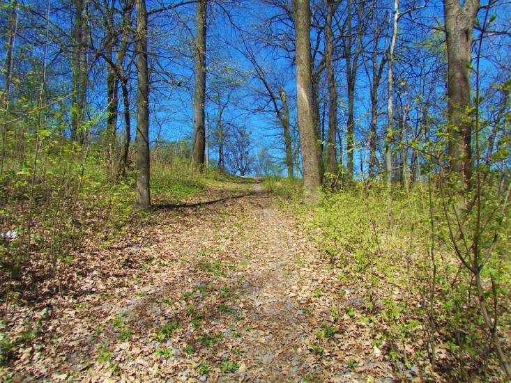 Високий з panoramio.com - Високий