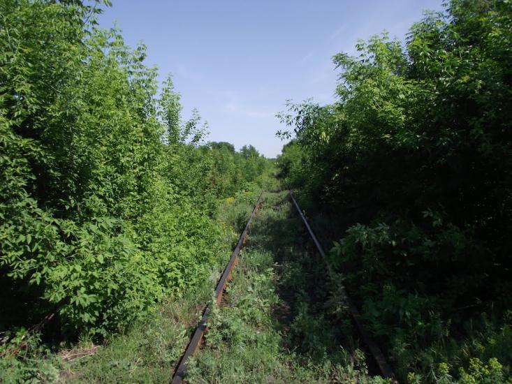 Новогродівка з panoramio.com - Новогродовка