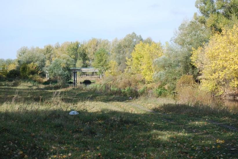 Стара Покровка з panoramio.com - Стара Покровка
