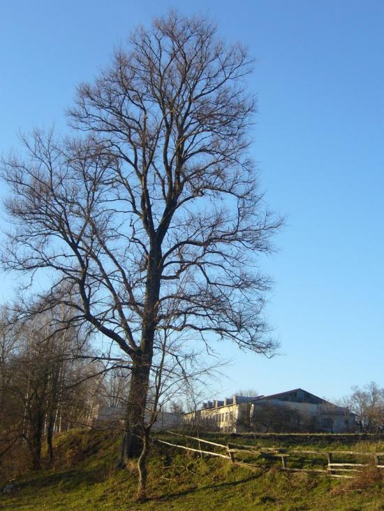 Несолонь з panoramio.com - Несолонь