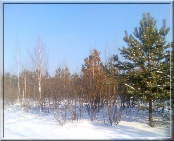 Кушкине з panoramio.com - Кушкине